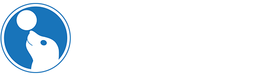Foczka logo